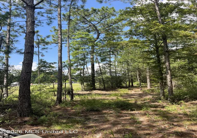 Photo 3 of Land for sale at 000 I 10, Pass Christian, MS 39571 | MLS# 4154782 | Listing updated on 2026-07-09