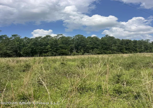 Photo 3 of Land for sale at 000 I 10, Pass Christian, MS 39571 | MLS# 4154782 | Listing updated on 2026-09-24