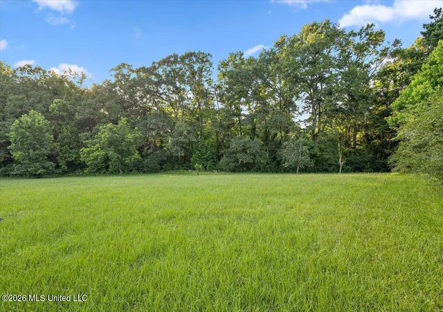 Homes for sale in Hazlehurst, MS | 13195 Old Port Gibson Rd, Hazlehurst, MS 39083 | MLS# 4154408