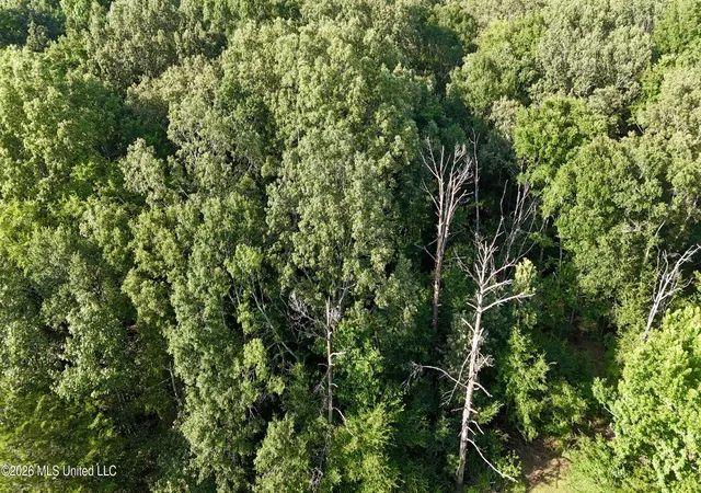 Photo 1 of Land for sale at Mcdonald Rd, Madison, MS 39110 | MLS# 4154462 | Listing updated on 2026-08-23