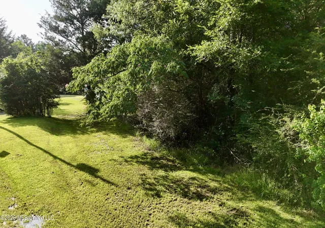 Photo 3 of Land for sale at Mcdonald Rd, Madison, MS 39110 | MLS# 4154462 | Listing updated on 2026-08-23