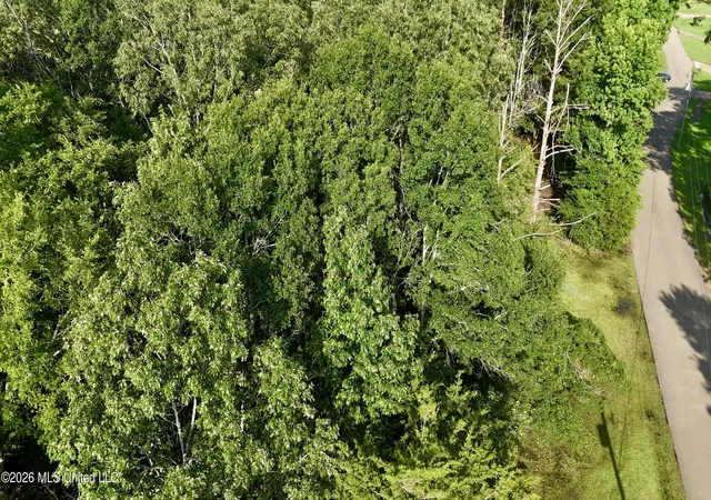 Photo 4 of Land for sale at Mcdonald Rd, Madison, MS 39110 | MLS# 4154462 | Listing updated on 2026-08-23