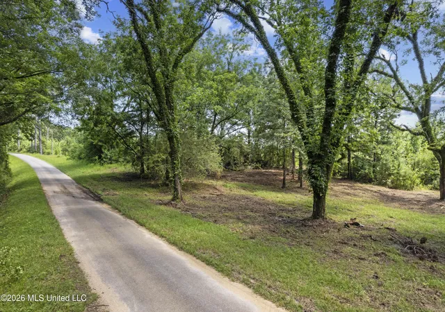 Homes for sale in Louin, MS | Co Rd 13, Louin, MS 39338 | MLS# 4154720
