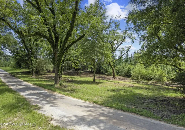 Homes for sale in Louin, MS | Co Rd 13, Louin, MS 39338 | MLS# 4154720
