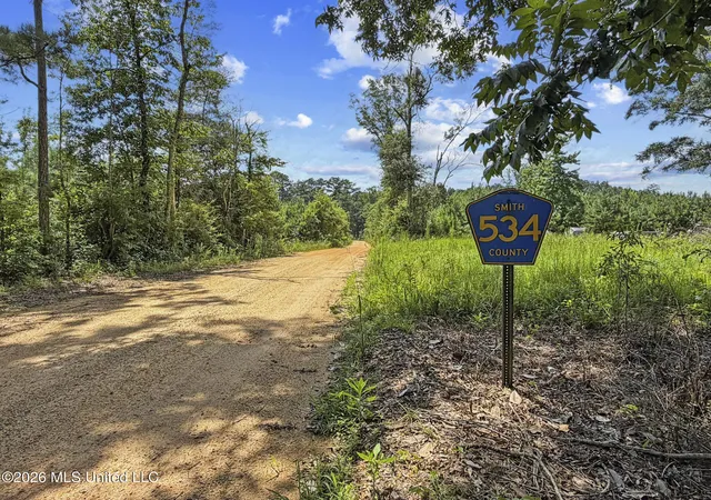 Homes for sale in Louin, MS | Co Rd 13, Louin, MS 39338 | MLS# 4154720
