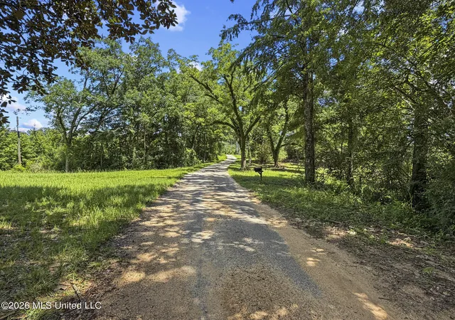 Homes for sale in Louin, MS | Co Rd 13, Louin, MS 39338 | MLS# 4154720