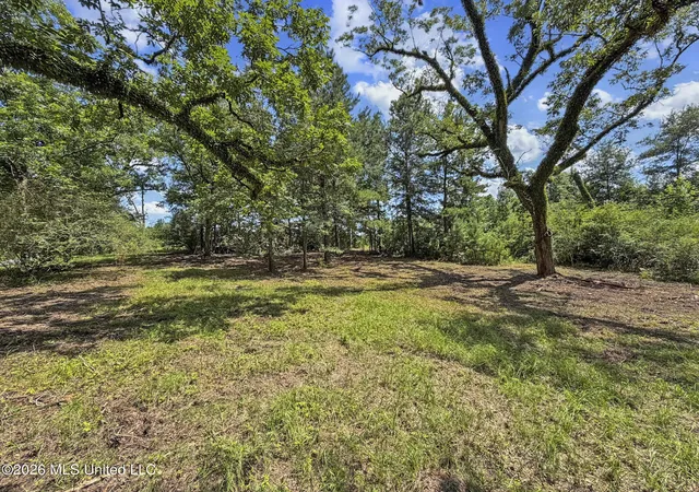 Homes for sale in Louin, MS | Co Rd 13, Louin, MS 39338 | MLS# 4154720