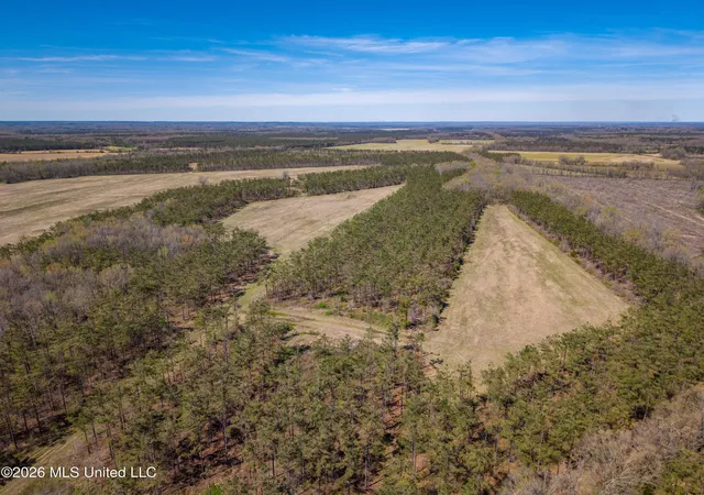 Homes for sale in Thaxton, MS | Wise Bend Rd, Thaxton, MS 38871 | MLS# 4154404