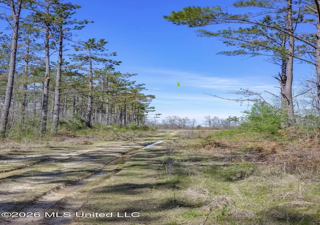 Homes for sale in Thaxton, MS | Wise Bend Rd, Thaxton, MS 38871 | MLS# 4154404