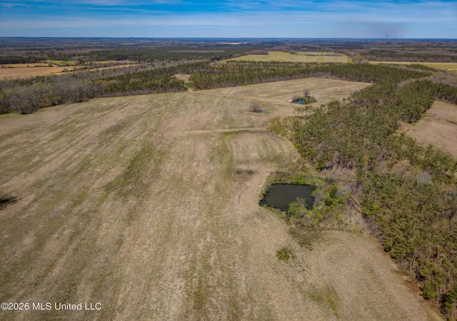 Homes for sale in Thaxton, MS | Wise Bend Rd, Thaxton, MS 38871 | MLS# 4154404