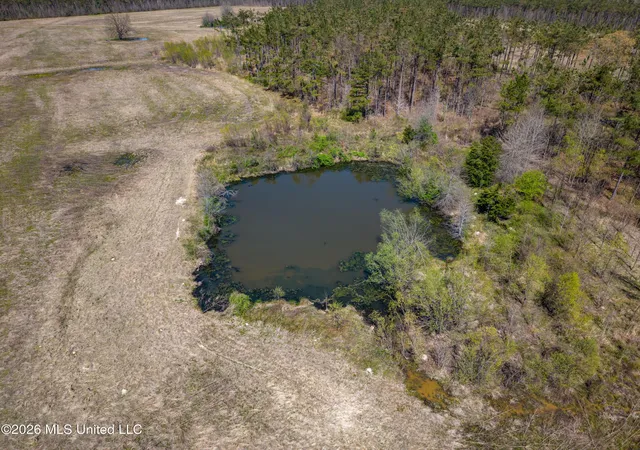 Homes for sale in Thaxton, MS | Wise Bend Rd, Thaxton, MS 38871 | MLS# 4154404