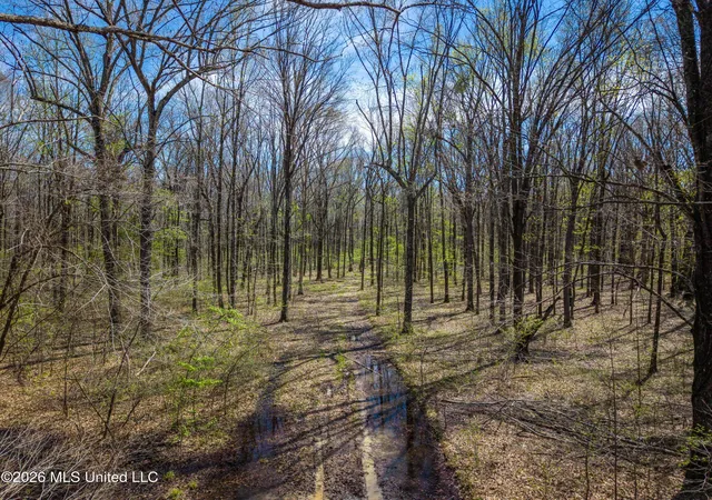 Homes for sale in Thaxton, MS | Wise Bend Rd, Thaxton, MS 38871 | MLS# 4154404