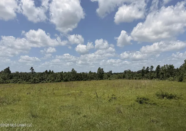 Homes for sale in Mc Comb, MS | Progress School Road Road, Mc Comb, MS 39648 | MLS# 4154389