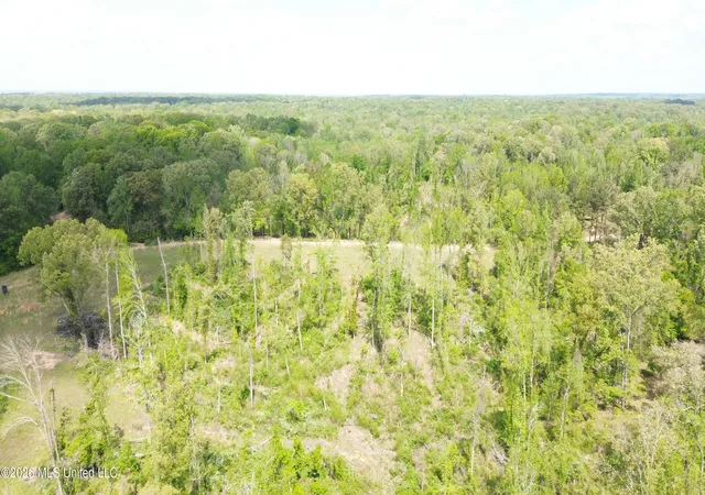 Homes for sale in Yazoo City, MS | Stevens Rd, Yazoo City, MS 39194 | MLS# 4154605