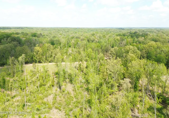 Homes for sale in Yazoo City, MS | Stevens Rd, Yazoo City, MS 39194 | MLS# 4154605