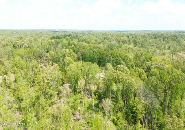 Homes for sale in Yazoo City, MS | Stevens Rd, Yazoo City, MS 39194 | MLS# 4154605