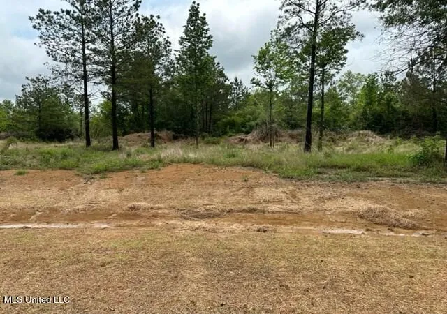Homes for sale in Picayune, MS | Bent Creek, Picayune, MS 39466 | MLS# 4154472