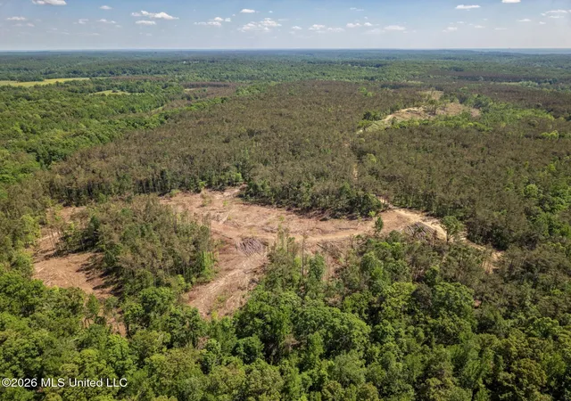 Homes for sale in Cascilla, MS | Shook Rd, Cascilla, MS 38920 | MLS# 4154617