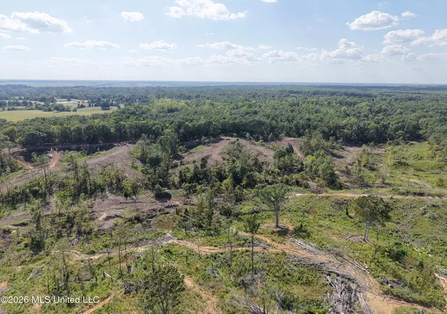 Photo 2 of Land for sale at Shook Rd, Cascilla, MS 38920 | MLS# 4154617 | Listing updated on 2026-08-16