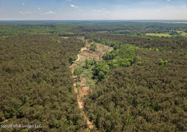 Homes for sale in Cascilla, MS | Shook Rd, Cascilla, MS 38920 | MLS# 4154617