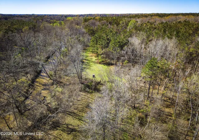 Homes for sale in Cascilla, MS | Shook Rd, Cascilla, MS 38920 | MLS# 4154617