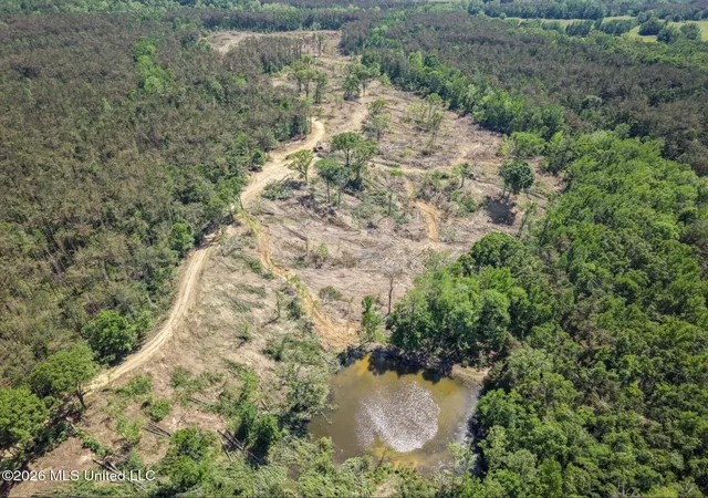 Homes for sale in Cascilla, MS | Shook Rd, Cascilla, MS 38920 | MLS# 4154617