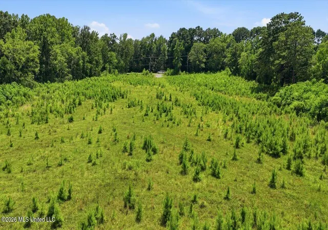 43rd image of Luckney Rd, Brandon, MS 39042 | MLS# 4154825