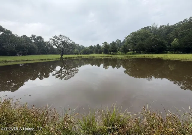 Homes for sale in Collinsville, MS | Meredith Road, Collinsville, MS 39325 | MLS# 4154640
