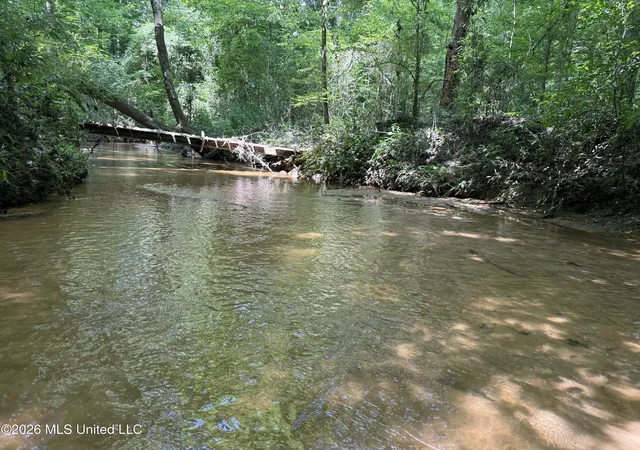 Homes for sale in Collinsville, MS | Meredith Road, Collinsville, MS 39325 | MLS# 4154640