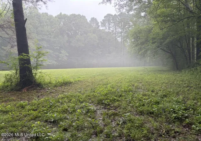 Homes for sale in Collinsville, MS | Meredith Road, Collinsville, MS 39325 | MLS# 4154640