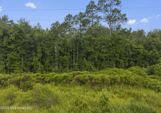 Photo 3 of Land for sale at Spring Briar Trl, Saucier, MS 39574 | MLS# 4154576 | Listing updated on 2026-07-02