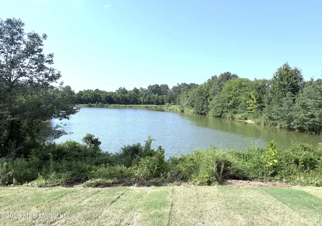 Photo 12 of Single family home for sale at 6604 Boxley Pointe, Walls, MS 38680 | MLS# 4154553 | Listing updated on 2026-08-31