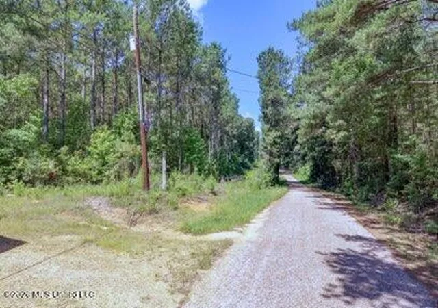 Homes for sale in Jayess, MS | Nell Lambert Rd, Jayess, MS 39641 | MLS# 4154578