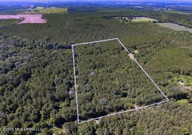 Homes for sale in Jayess, MS | Nell Lambert Rd, Jayess, MS 39641 | MLS# 4154578