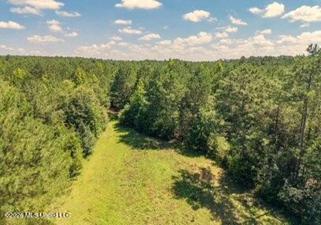 Homes for sale in Jayess, MS | Nell Lambert Rd, Jayess, MS 39641 | MLS# 4154578