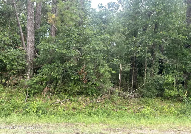 Homes for sale in Summit, MS | Tbd River Ridge Rd, Summit, MS 39666 | MLS# 4154579