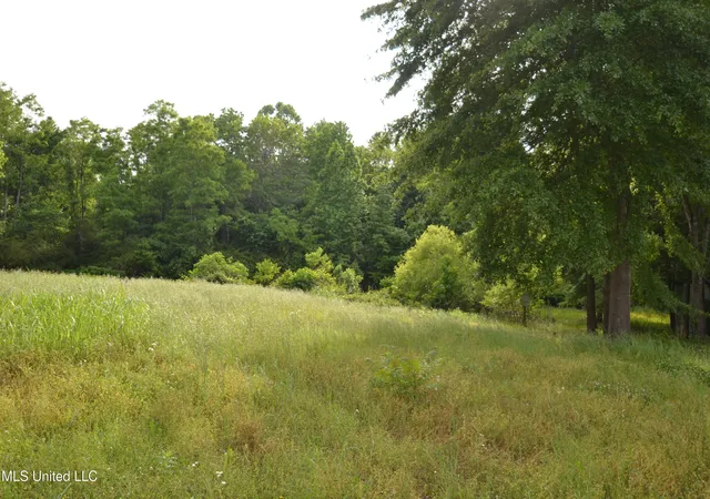 11th image of 443 Hwy 305 N, Olive Branch, MS 38654 | MLS# 4154583