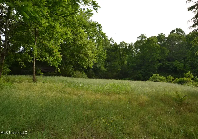 1st image of 443 Hwy 305 N, Olive Branch, MS 38654 | MLS# 4154583