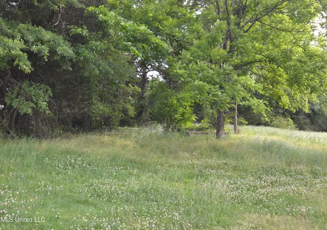 3rd image of 443 Hwy 305 N, Olive Branch, MS 38654 | MLS# 4154583