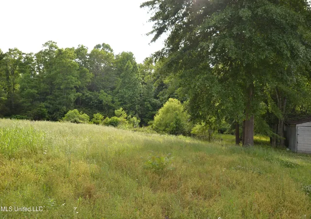 4th image of 443 Hwy 305 N, Olive Branch, MS 38654 | MLS# 4154583