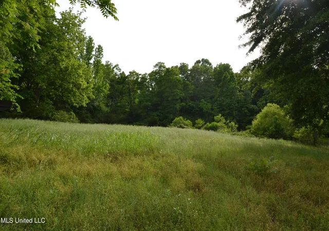5th image of 443 Hwy 305 N, Olive Branch, MS 38654 | MLS# 4154583