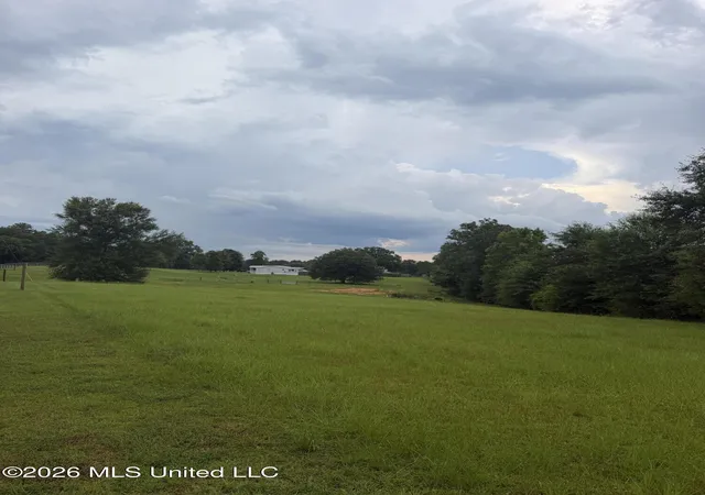Homes for sale in Poplarville, MS | 130 Buck Branch School Rd, Poplarville, MS 39470 | MLS# 4154698