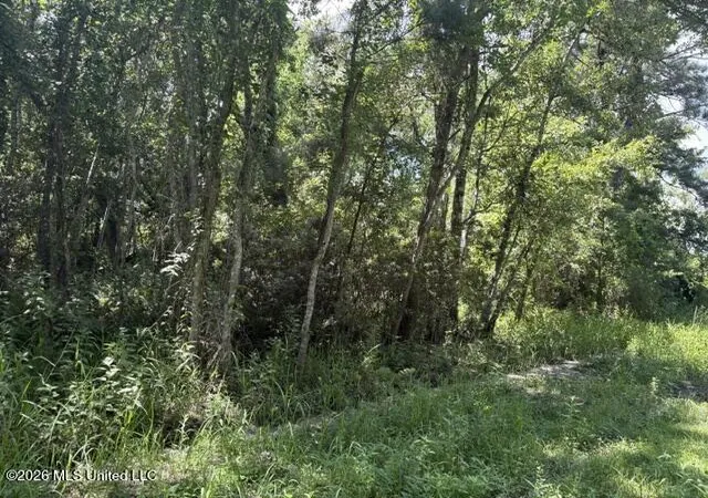 Homes for sale in Ocean Springs, MS | N Juanita Lot 1156,1157 St, Ocean Springs, MS 39564 | MLS# 4155334