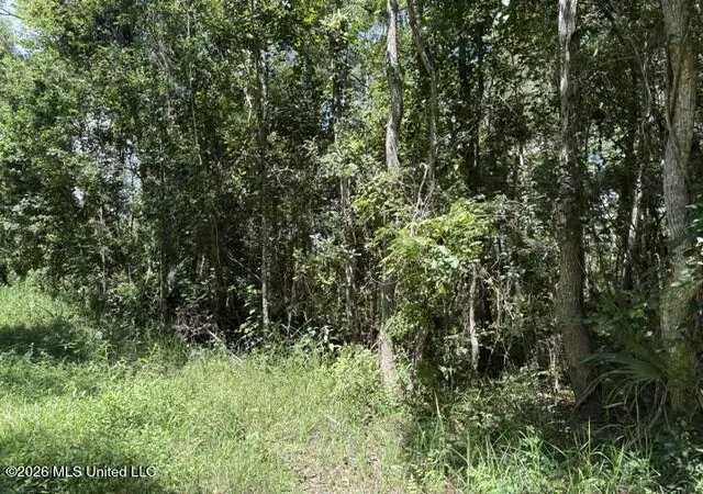 Homes for sale in Ocean Springs, MS | N Juanita Lot 1156,1157 St, Ocean Springs, MS 39564 | MLS# 4155334