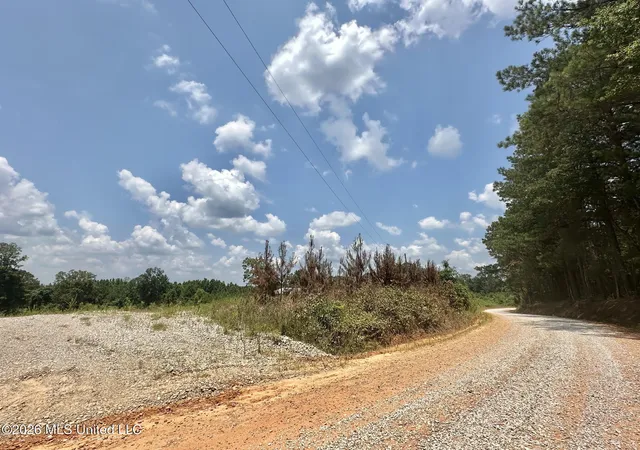 Homes for sale in Carthage, MS | Callahan Road, Carthage, MS 39051 | MLS# 4154627