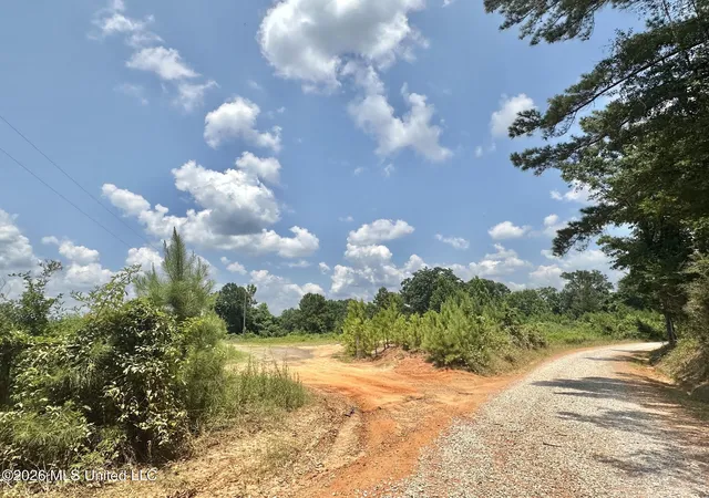 Homes for sale in Carthage, MS | Callahan Road, Carthage, MS 39051 | MLS# 4154627