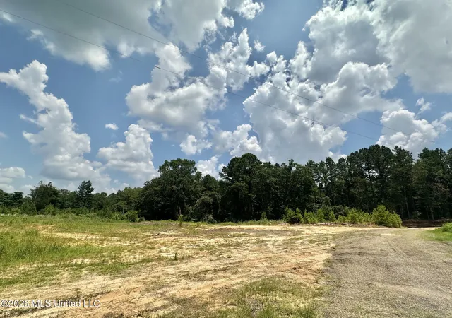 Homes for sale in Carthage, MS | Callahan Road, Carthage, MS 39051 | MLS# 4154627