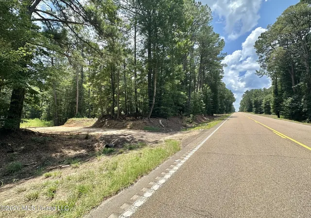 Homes for sale in Carthage, MS | 1 Hwy 35, Carthage, MS 39051 | MLS# 4154629