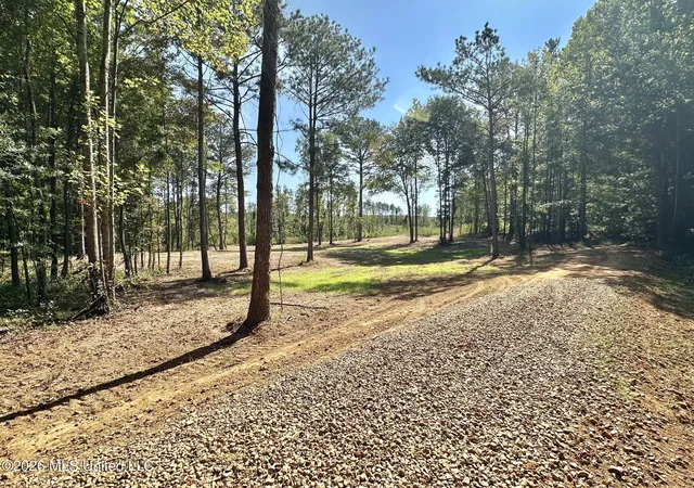 Photo 1 of Land for sale at 1 Highway 35, Carthage, MS 39051 | MLS# 4154629 | Listing updated on 2026-08-21