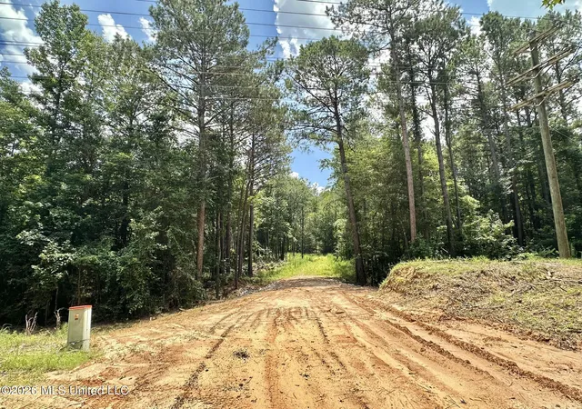 Homes for sale in Carthage, MS | 1 Hwy 35, Carthage, MS 39051 | MLS# 4154629